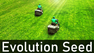 Evolution Seed in white font on banner on bottom of lush, green expanse of green lawn being mowed by 2 ride-on mowers